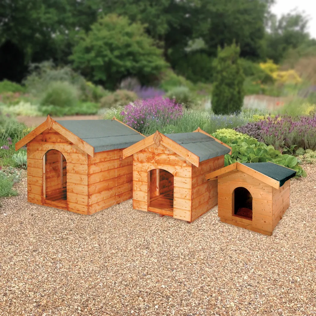 Puppy, Glen, Sutton Kennel timber garden building